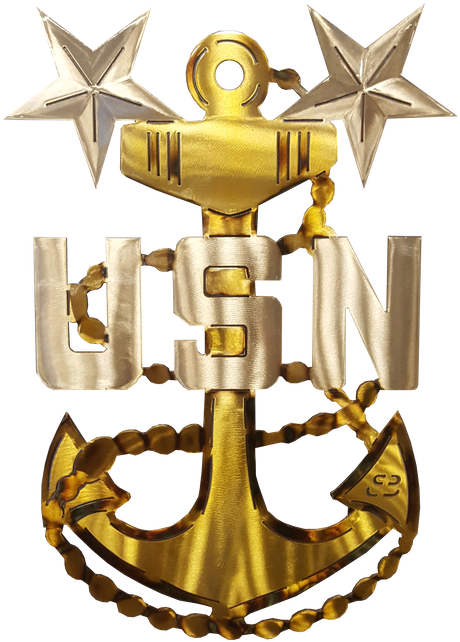 Master Chief Petty Officer (498x684), Png Download