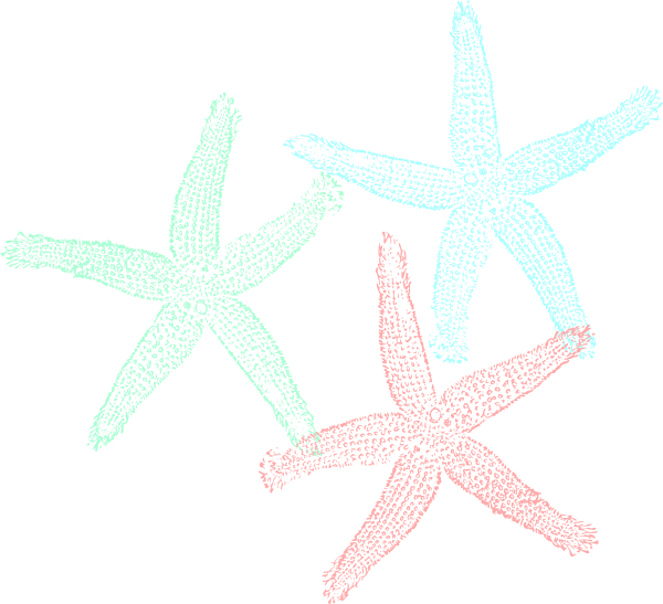 Original Png Clip Art File Starfish Svg Images Downloading (600x547), Png Download
