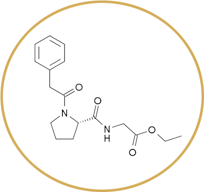 N-phenylacetyl-l-prolylglycine Ethyl Ester (445x445), Png Download