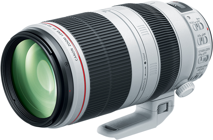 Canon Ef 100 400mm F/4 - Canon 100 400mm F 4.5 5.6l (788x788), Png Download
