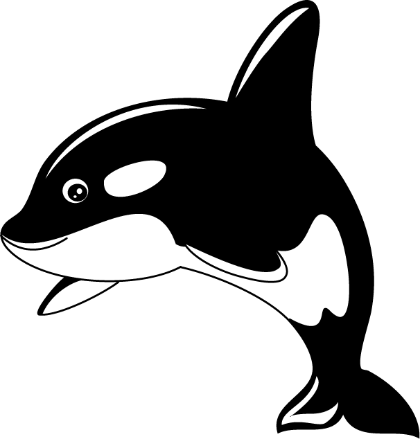 Cartoon Whale Png Free Download Clip Art Free Clip - Cute Killer Whale Clip Art (606x634), Png Download