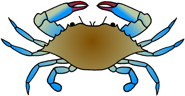 Blue Crab Galleries Panda Images - Blue Crab Drawing Easy (665x386), Png Download