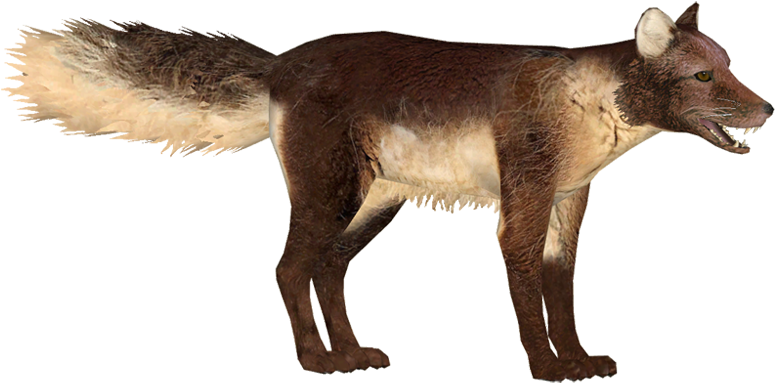 Arctic Fox Summer - The Fox's Summer (780x780), Png Download