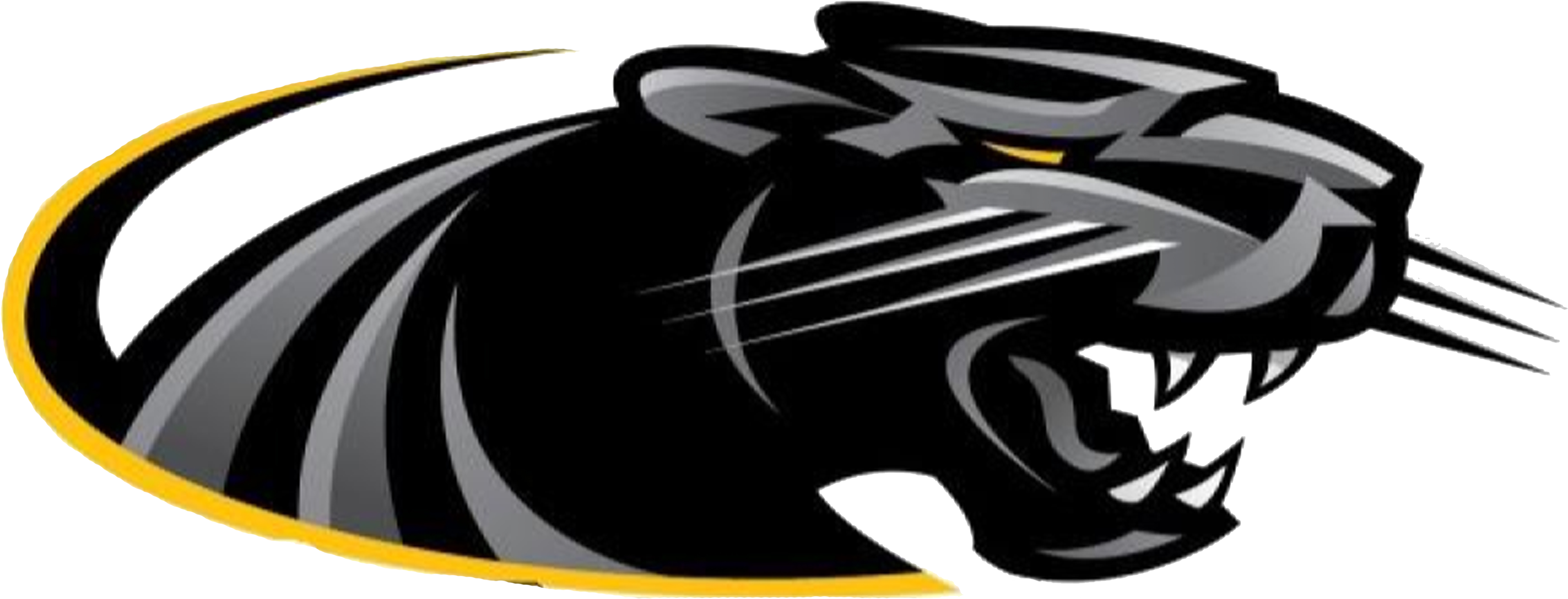 Black Pencil And In Color - University Of Wisconsin Milwaukee Athletic Logo (3681x1496), Png Download