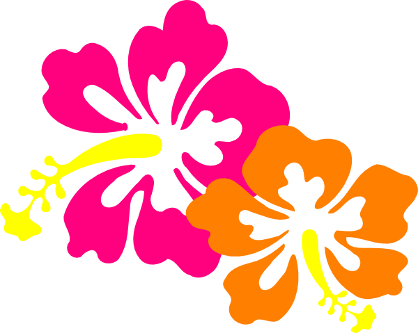 Hibiscus Transparent Cartoon - Hibiscus Clip Art (600x479), Png Download