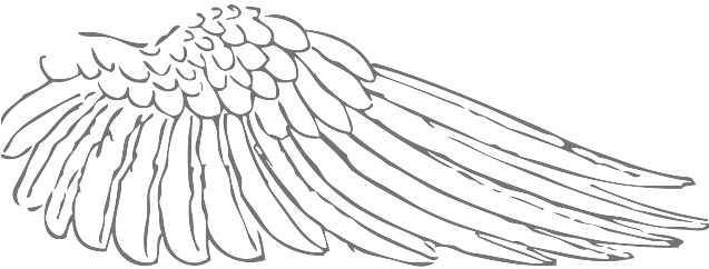 Left Craneclan Feather - Wings Right (720x320), Png Download