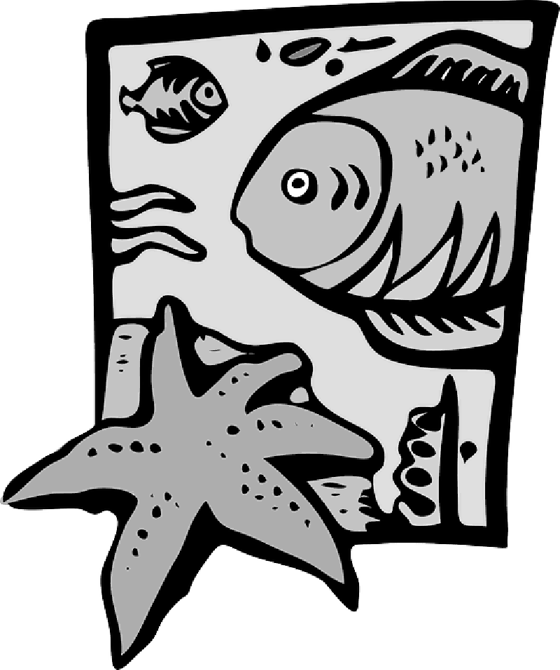 Mb Image/png - Clip Art Marine Biology (800x958), Png Download