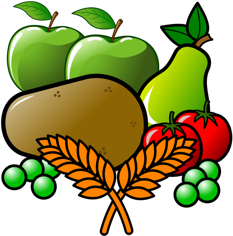 Clip Art (800x800), Png Download