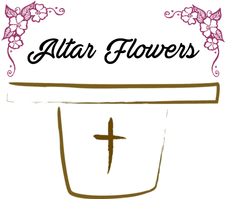 Ldk Cojín Exteriores Friends&life 45x45x12 Cm Orange (733x642), Png Download