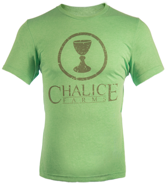 Men's Shirt Green - Active Shirt (688x694), Png Download