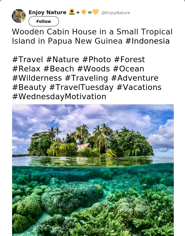 Wooden Cabin House In A Small Tropical Island In Papua - Poster (640x1073), Png Download