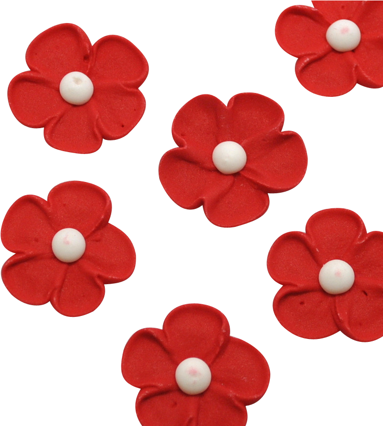 5" Royal Icing Blossom - Royal Icing (870x870), Png Download