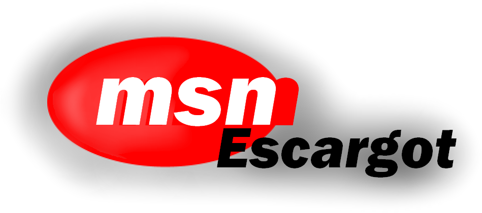 Msn Escargot Logo 1998 65 Kb - Logo (1000x500), Png Download