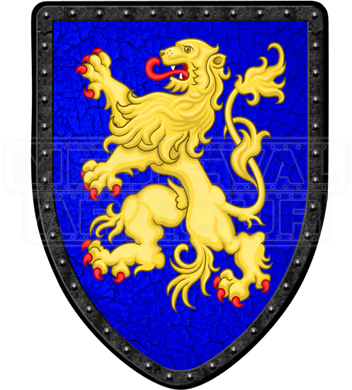 Lion On Blue Steel Battle Shield - Sweden Flip Flops 2 Other (550x550), Png Download