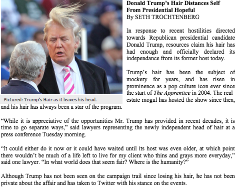 Donald Trump's Hair Distances Self From Presidential - Donald Trump Hair Standing (470x373), Png Download