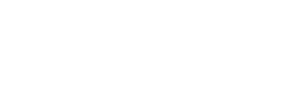 Boondocks Portrait Studio Neenah, Wisconsin - Calligraphy (1000x424), Png Download