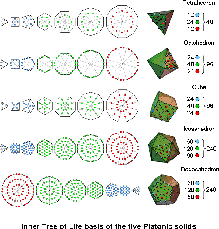 Inner Tree Of Life Basis Of The 5 Platonic Solids - Circle (711x747), Png Download