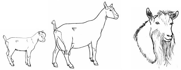 Picture - Line Art (636x247), Png Download