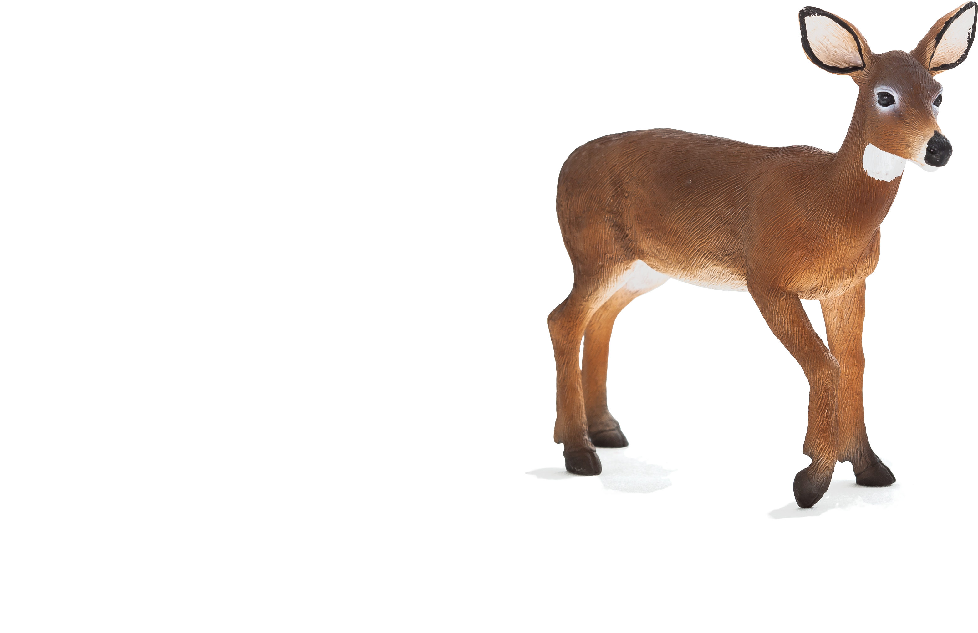 Doe Png (5616x3744), Png Download