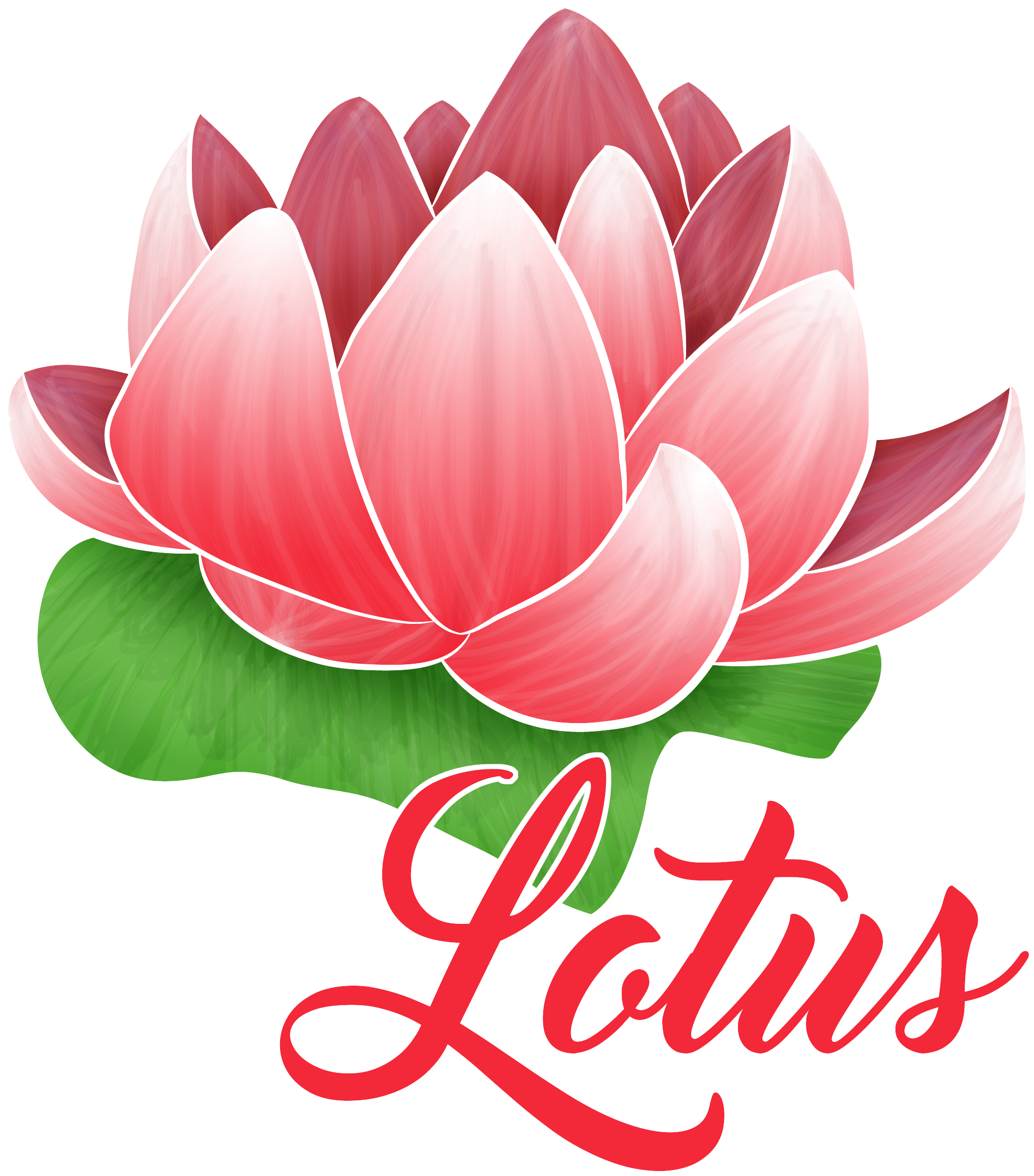 Lotus Logo Red - Sacred Lotus (2100x2400), Png Download