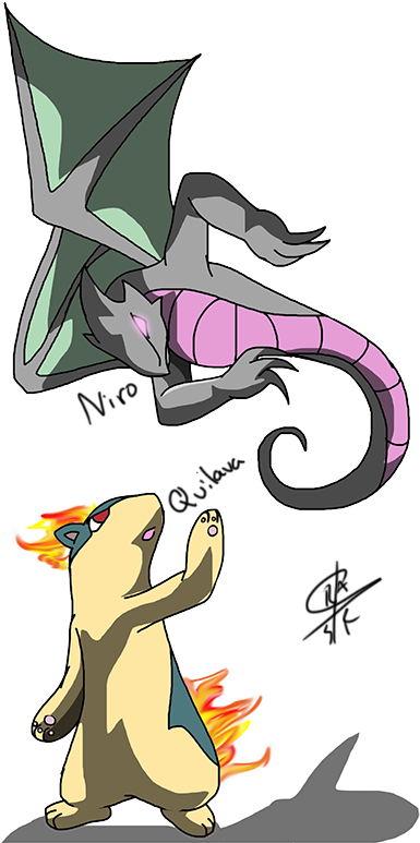 Niro And Quilava - Cartoon (430x800), Png Download