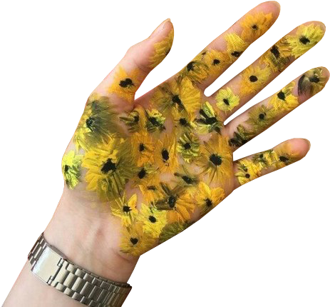 Tumblr Transparents Yellow Download - Indie Yellow Aesthetic Transparent (500x500), Png Download