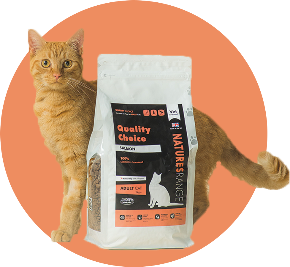 Cat Food - Domestic Short-haired Cat (1080x1080), Png Download
