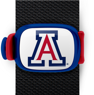 Arizona Wildcats Stwrap - University Of Arizona Decal (550x400), Png Download