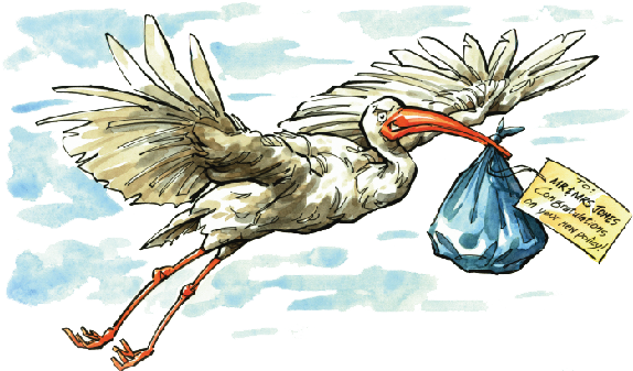 New York Life - Illustration (575x345), Png Download