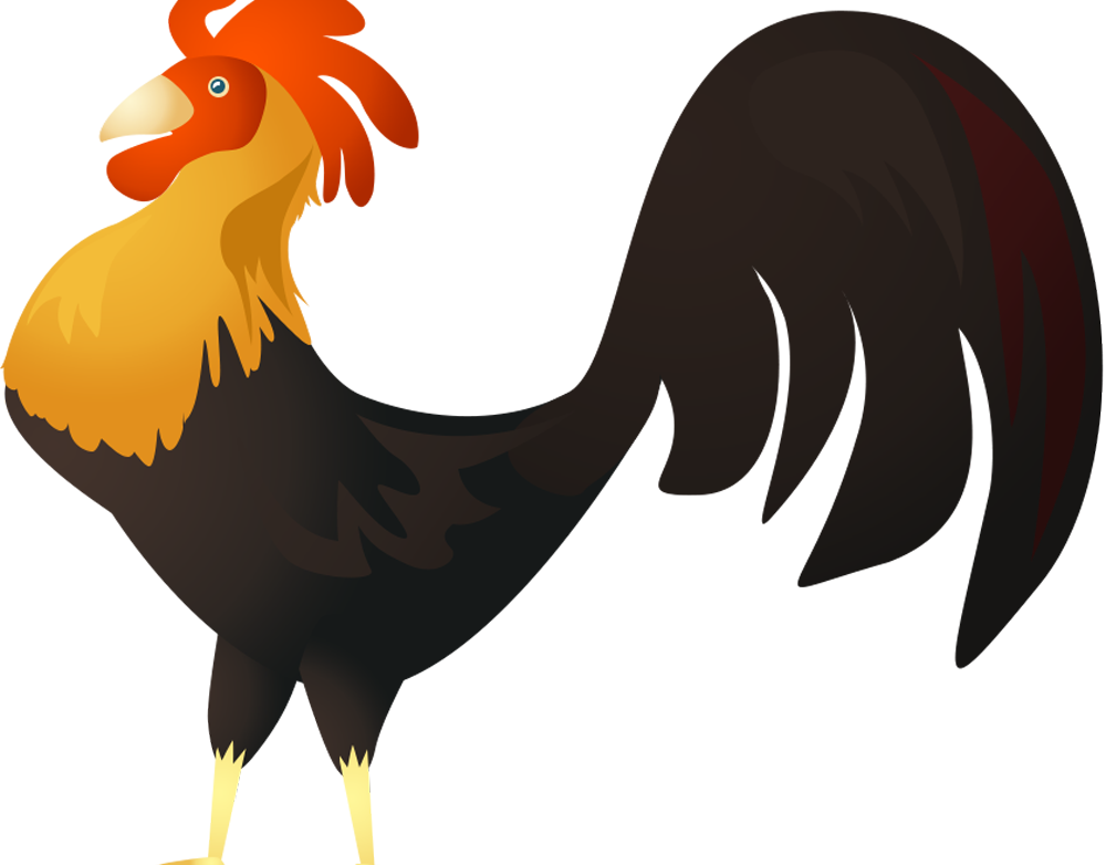 Vector Work - Rooster (1000x782), Png Download