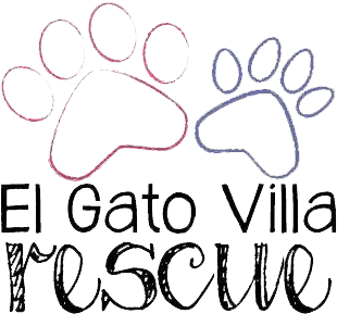 #tourdemeow (360x360), Png Download