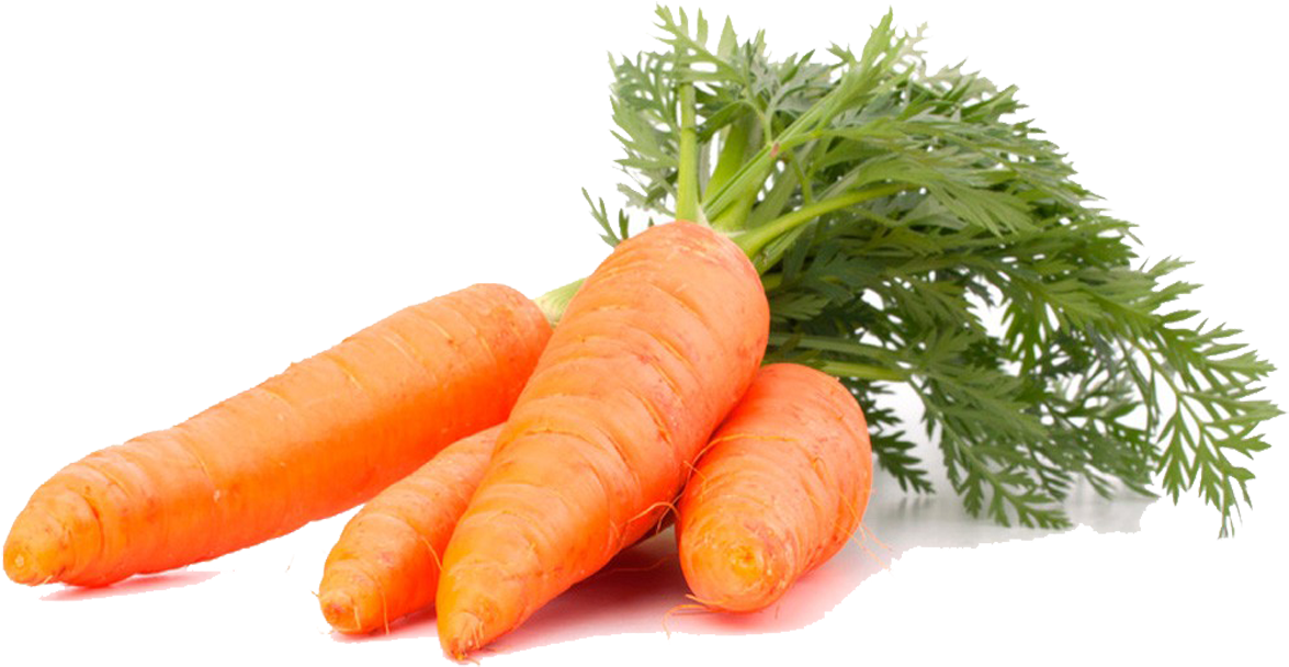 Zanahoria - Imagenes De Zanahoria Png (1200x800), Png Download