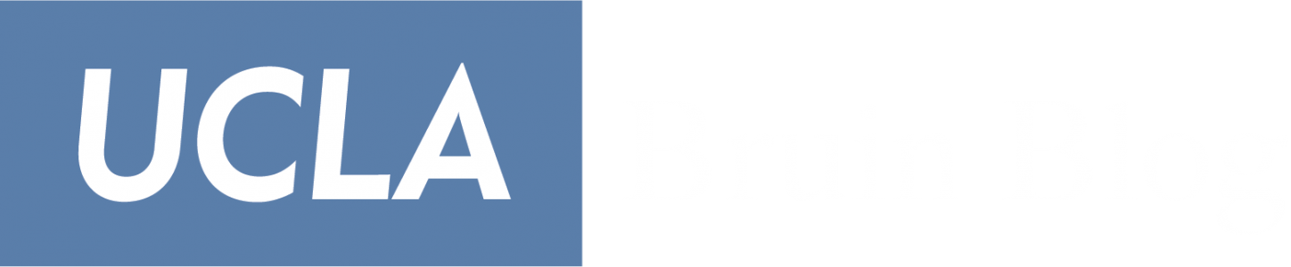 Your Insight Into Ucla Admission, Campus Life, And - Ucla Undergraduate Admission Logo (1448x300), Png Download
