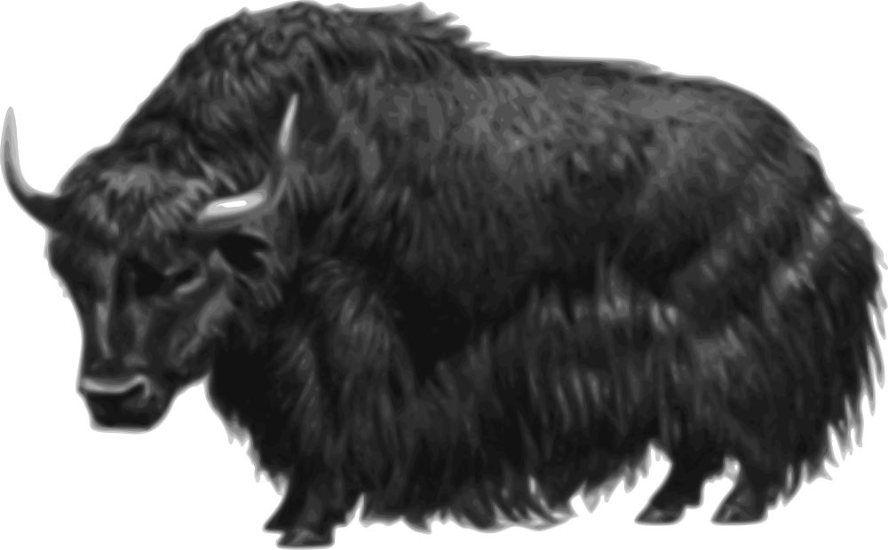 Muskox Clipart Transparent Background - Yellow Yak (1000x620), Png Download