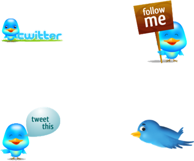 Cartoon Bird Icon - Icon (1024x600), Png Download