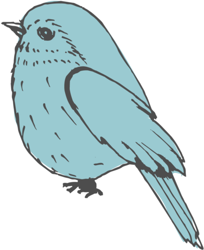 Bird-icon - Mountain Bluebird (1000x588), Png Download