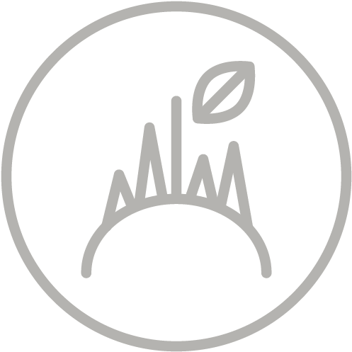 Circle (600x600), Png Download