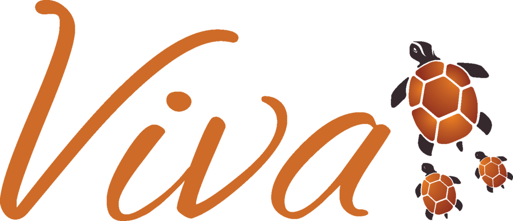 Vivaturtlebranding - Viva Modern Mexican Logo (1000x431), Png Download
