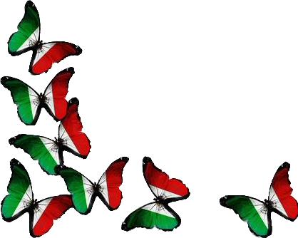 Mariposas Vivamexico Mexico Tricolor - Uae Flag Back Ground (418x334), Png Download