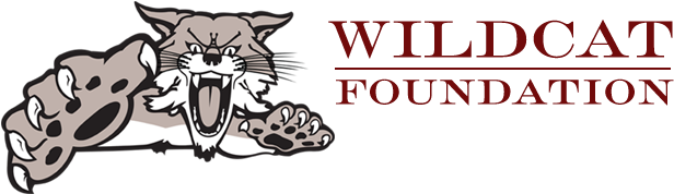 Wildcat Foundation Logo - Trademarx Kentucky Wildcats Wallmarx (633x204), Png Download