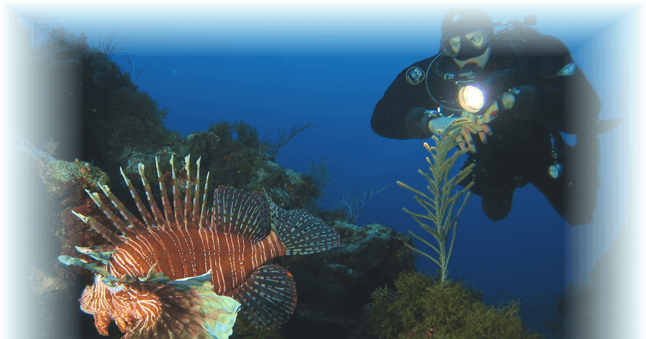 Marine Biology (1020x483), Png Download