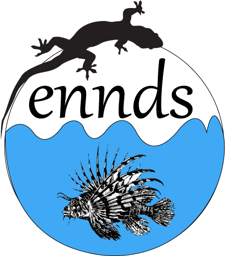 Schöne U. Einfache Vintage Löwe-fische Mousepad (960x560), Png Download