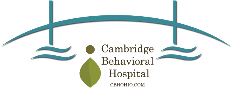 Bridge Icon With Cambridge Logo - Graphic Design (789x344), Png Download