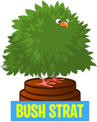 Tricouri, Tricouri Personalizate, Tricouri Imprimate - Clip Art Shrub (430x404), Png Download