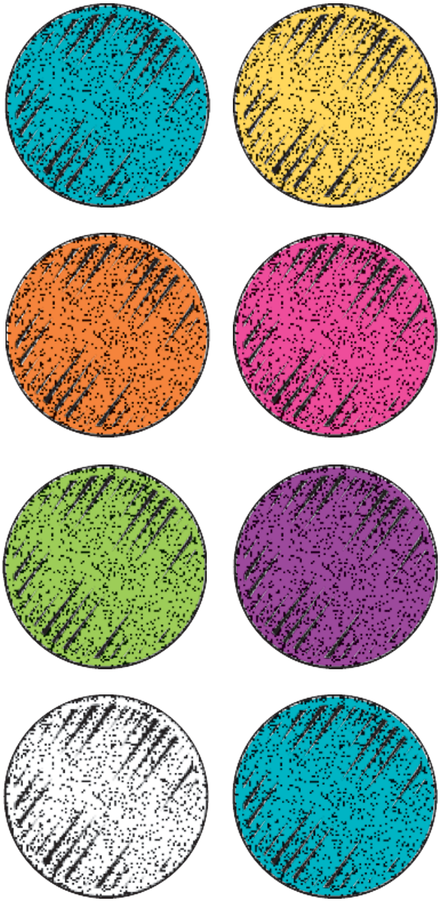Tcr5645 Colorful Chalk Mini Stickers Image - Jack Daniels Cupcake Logo (900x900), Png Download