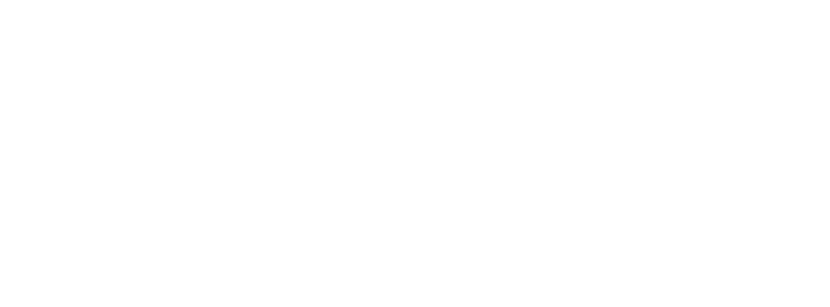 South Carolina Democratic Party Let's Turn South Carolina - South Carolina (1200x444), Png Download