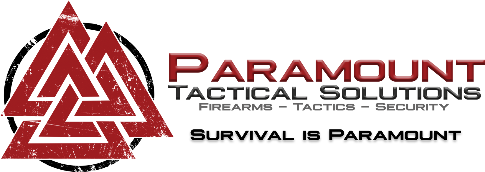 Paramount Tactical Solutions (1800x754), Png Download