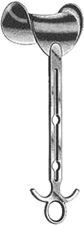 Separador Valva De Mayo - Balfour (500x500), Png Download