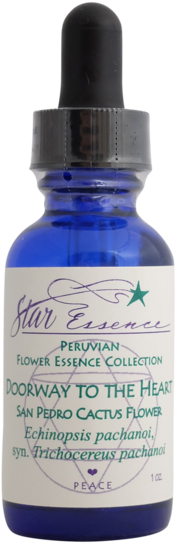 Serumtologie C Serum 22 Ingredients (600x600), Png Download