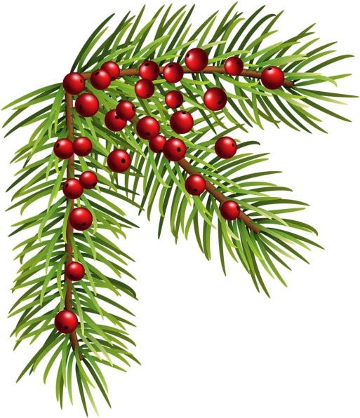 Christmas Corner Border Png - Christmas Clipart Transparent Pine (540x600), Png Download